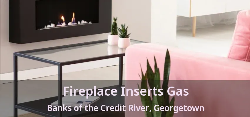 Fireplace Inserts Gas Banks of the Credit River, Georgetown - ON Fireplace Inserts Gas Banks of the Credit River, Georgetown - ON