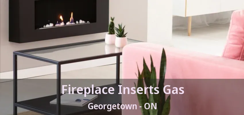 Fireplace Inserts Gas Georgetown - ON Fireplace Inserts Gas Georgetown - ON