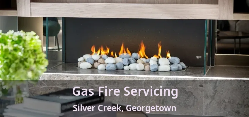 Gas Fire Servicing Silver Creek, Georgetown - ON Gas Fire Servicing Silver Creek, Georgetown - ON