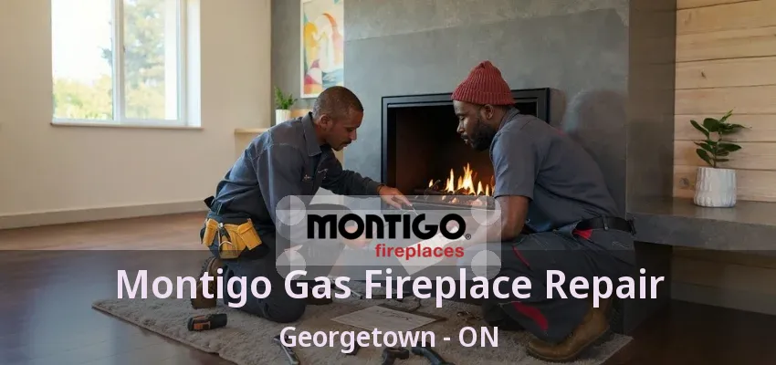 Montigo Gas Fireplace Repair Georgetown - ON