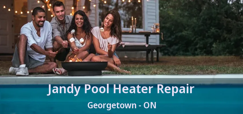Jandy Pool Heater Repair Georgetown - ON