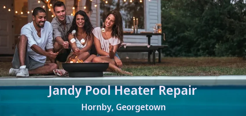 Jandy Pool Heater Repair Hornby, Georgetown - ON Jandy Pool Heater Repair Hornby, Georgetown - ON