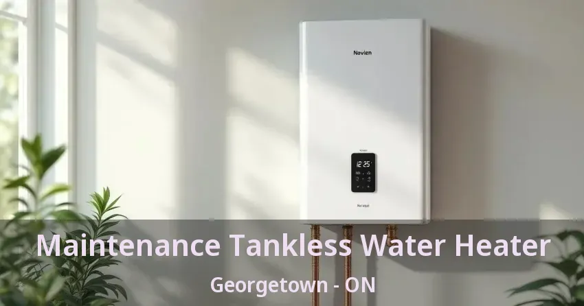 Maintenance Tankless Water Heater Georgetown - ON Maintenance Tankless Water Heater Georgetown - ON