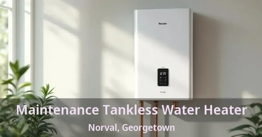 Maintenance Tankless Water Heater Norval, Georgetown - ON Maintenance Tankless Water Heater Norval, Georgetown - ON