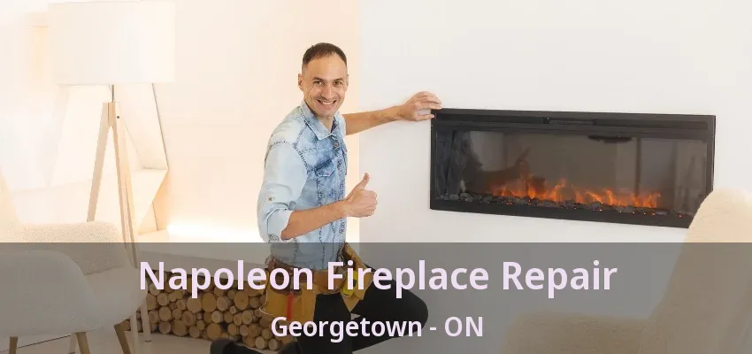 Napoleon Fireplace Repair Georgetown - ON Napoleon Fireplace Repair Georgetown - ON