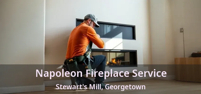 Napoleon Fireplace Service Stewart's Mill, Georgetown - ON Napoleon Fireplace Service Stewart's Mill, Georgetown - ON