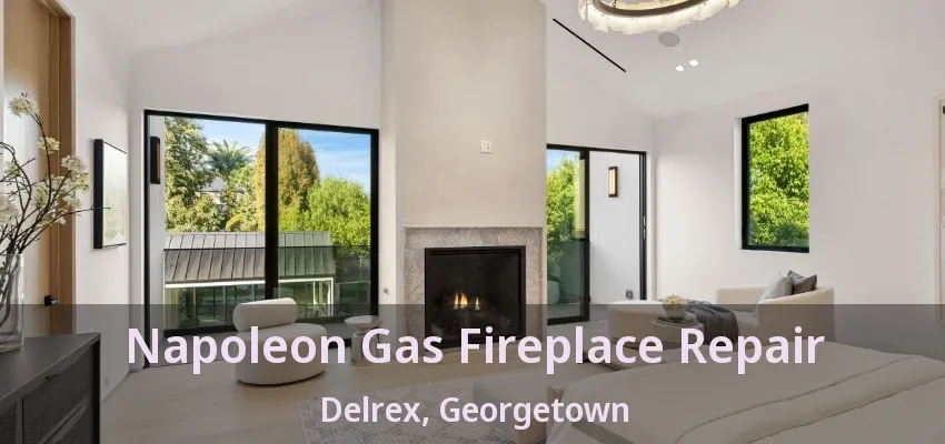 Napoleon Gas Fireplace Repair Delrex, Georgetown - ON Napoleon Gas Fireplace Repair Delrex, Georgetown - ON