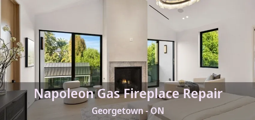Napoleon Gas Fireplace Repair Georgetown - ON Napoleon Gas Fireplace Repair Georgetown - ON