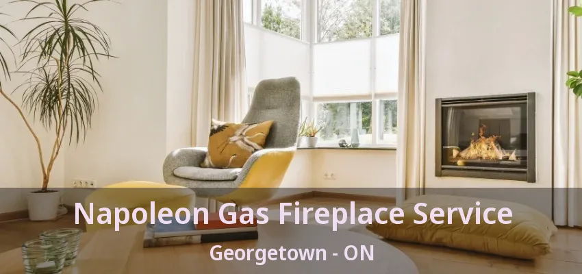 Napoleon Gas Fireplace Service Georgetown - ON Napoleon Gas Fireplace Service Georgetown - ON