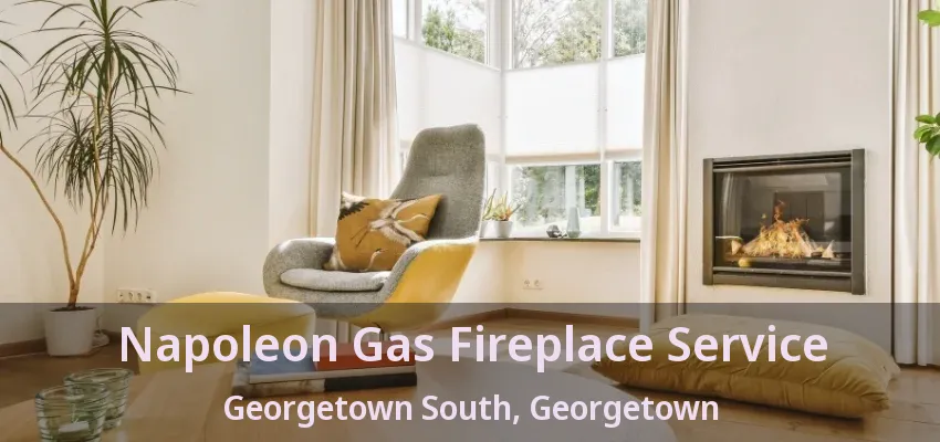Napoleon Gas Fireplace Service Georgetown South, Georgetown - ON Napoleon Gas Fireplace Service Georgetown South, Georgetown - ON