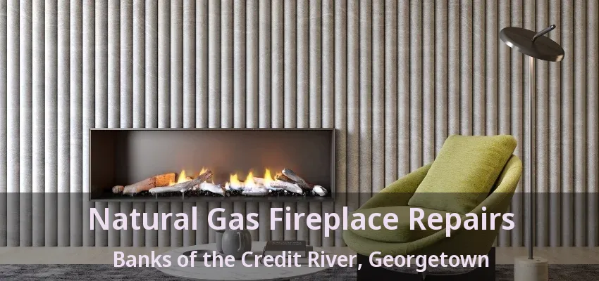 Natural Gas Fireplace Repairs Banks of the Credit River, Georgetown - ON
