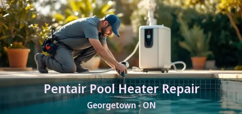 Pentair Pool Heater Repair Georgetown - ON Pentair Pool Heater Repair Georgetown - ON