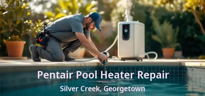 Pentair Pool Heater Repair Silver Creek, Georgetown - ON Pentair Pool Heater Repair Silver Creek, Georgetown - ON