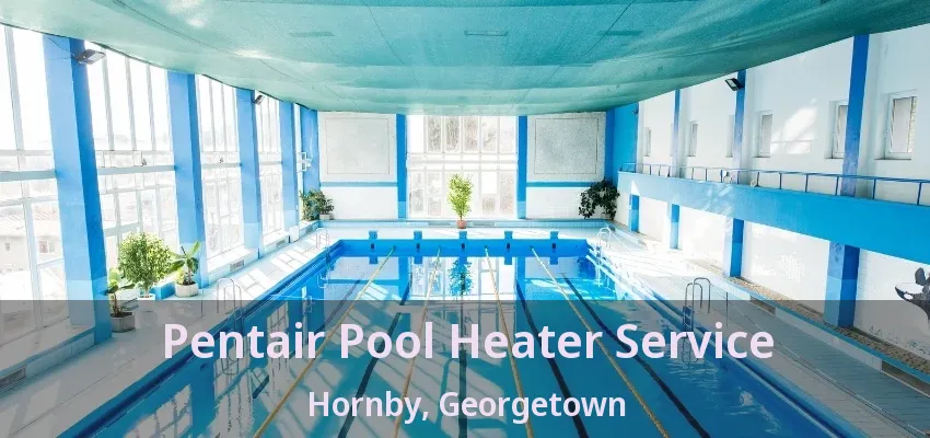 Pentair Pool Heater Service Hornby, Georgetown - ON Pentair Pool Heater Service Hornby, Georgetown - ON