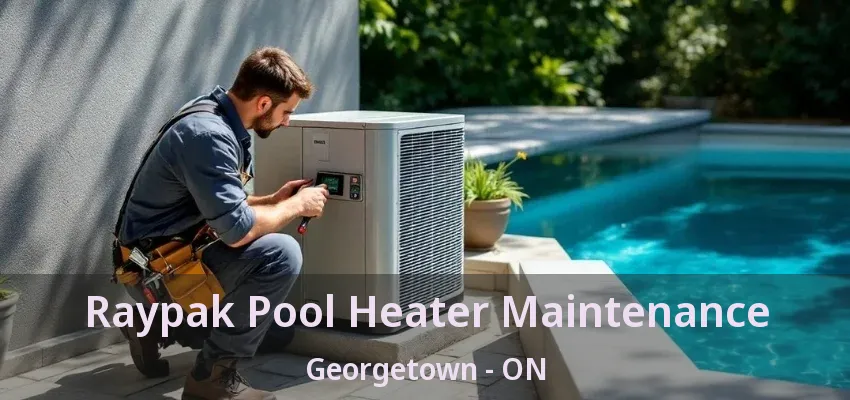 Raypak Pool Heater Maintenance Georgetown - ON Raypak Pool Heater Maintenance Georgetown - ON