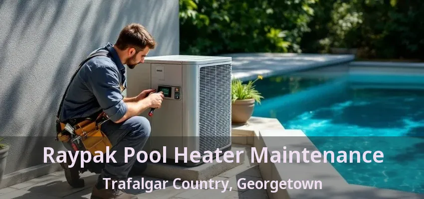 Raypak Pool Heater Maintenance Trafalgar Country, Georgetown - ON Raypak Pool Heater Maintenance Trafalgar Country, Georgetown - ON