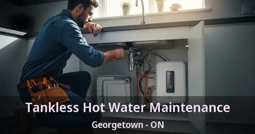 Tankless Hot Water Maintenance Georgetown - ON Tankless Hot Water Maintenance Georgetown - ON