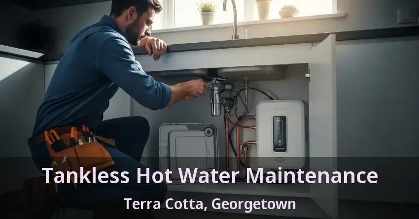 Tankless Hot Water Maintenance Terra Cotta, Georgetown - ON Tankless Hot Water Maintenance Terra Cotta, Georgetown - ON