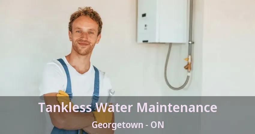 Tankless Water Maintenance Georgetown - ON Tankless Water Maintenance Georgetown - ON