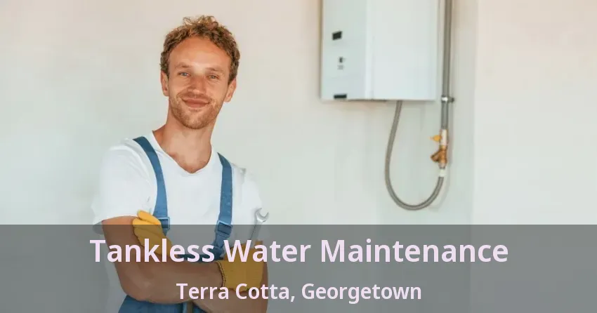 Tankless Water Maintenance Terra Cotta, Georgetown - ON Tankless Water Maintenance Terra Cotta, Georgetown - ON