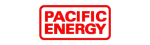 Pacific Energy Napoleon Gas Fireplace Repair in Georgetown